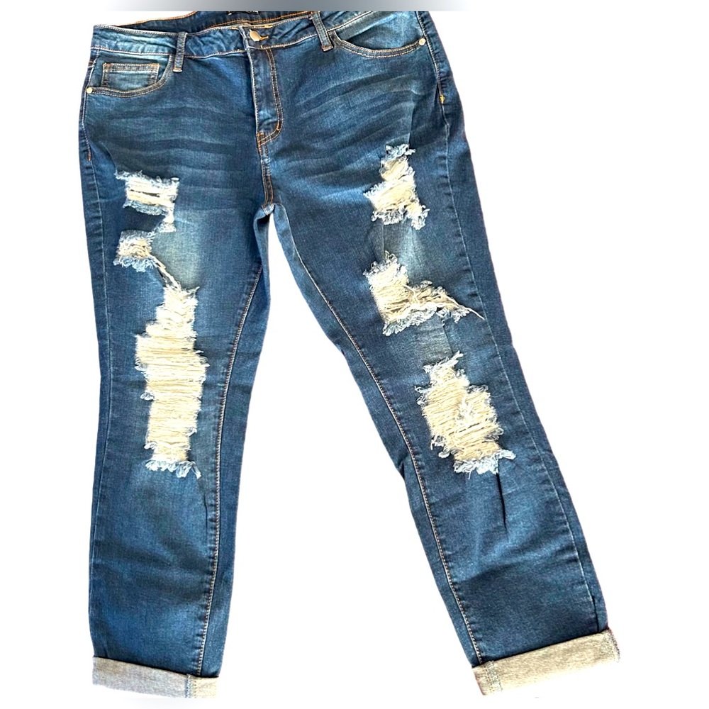 Fashion Nova Denim Skinny Jeans Size 1X/34